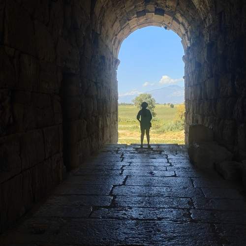 Photo #13076005