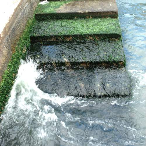 Photo #13076021