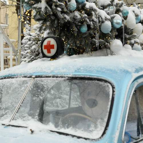 Photo #13076051