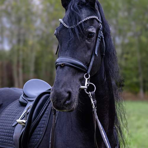 Photo #13076067