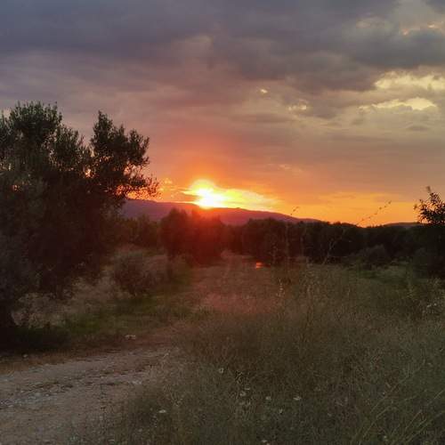 Photo #13076090