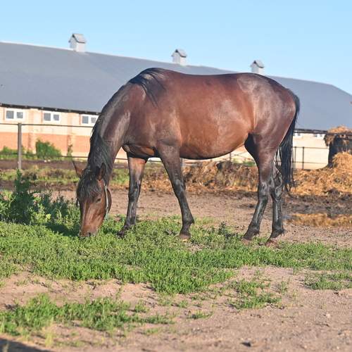 Photo #13076101