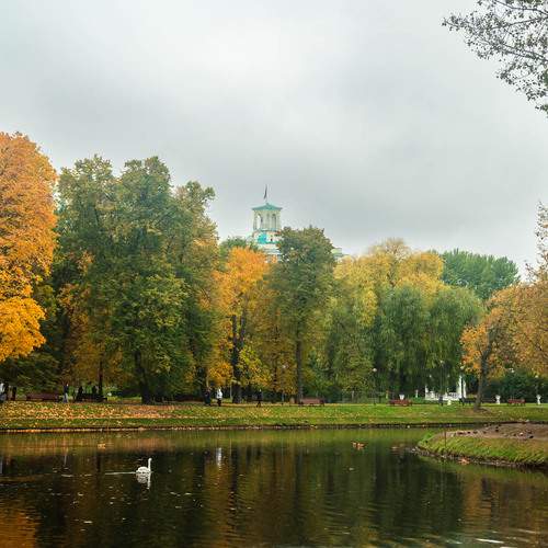 Photo #13076106