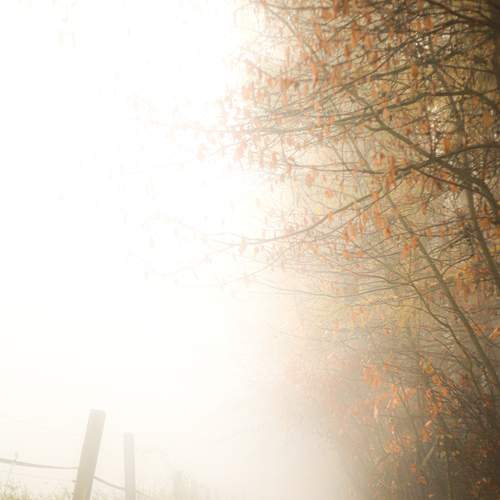 gate to the unknown
