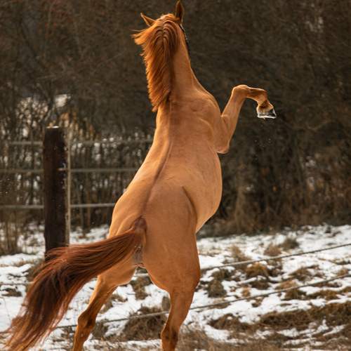 Photo #13076128