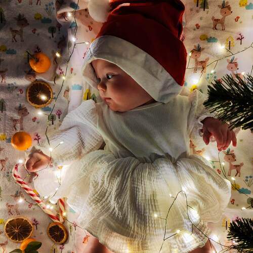 Photo #13076148