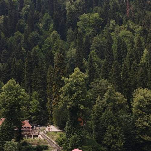 Photo #13076256