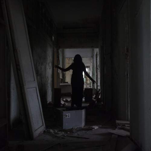 Photo #13076292