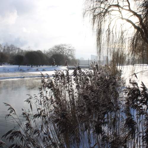 Photo #13076298