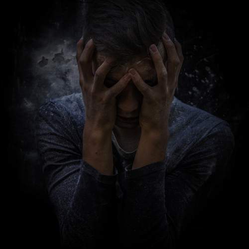 Photo #13076308