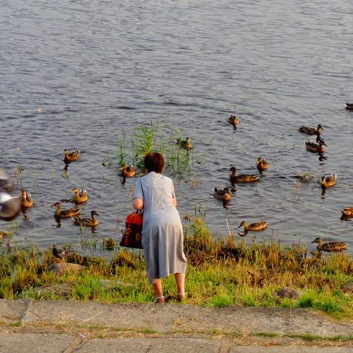 Photo #13076316