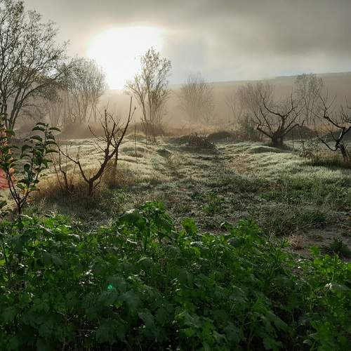 Photo #13076379