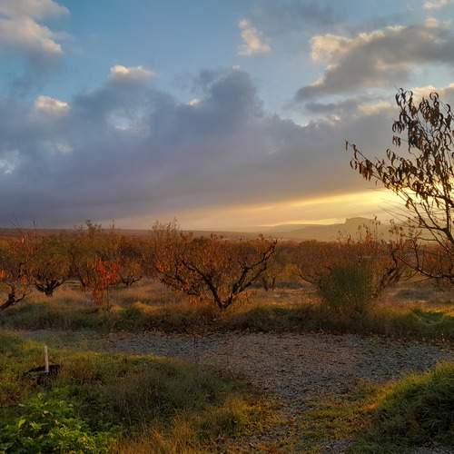 Photo #13076383