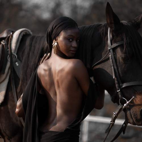 Photo #13076449