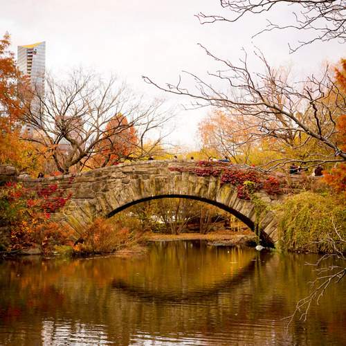Photo #13076558