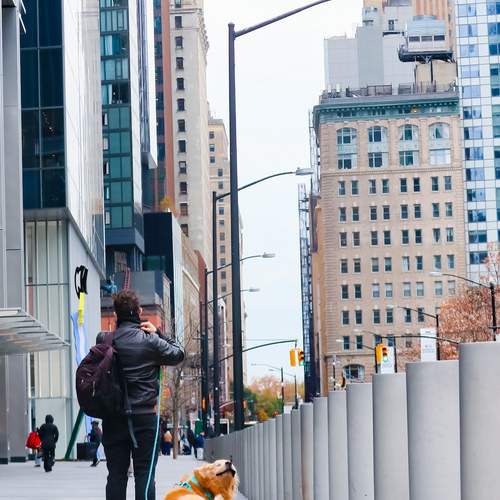 Photo #13076559