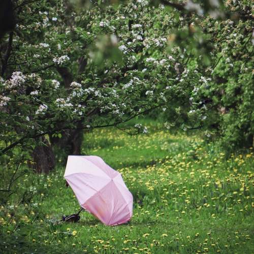 Photo #13076573
