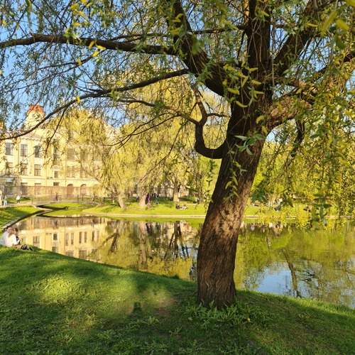 Photo #13076660