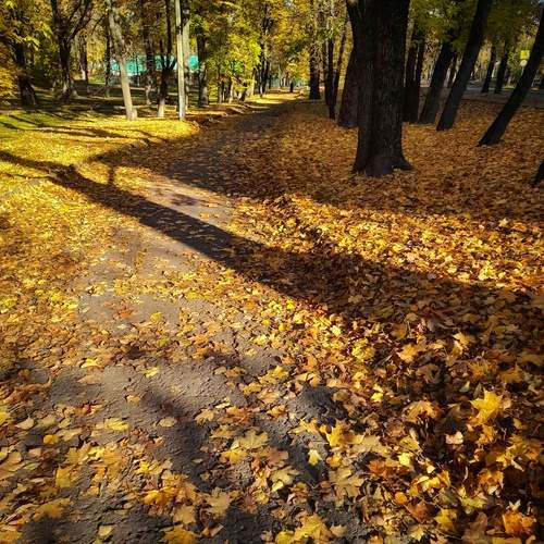 Photo #13076684