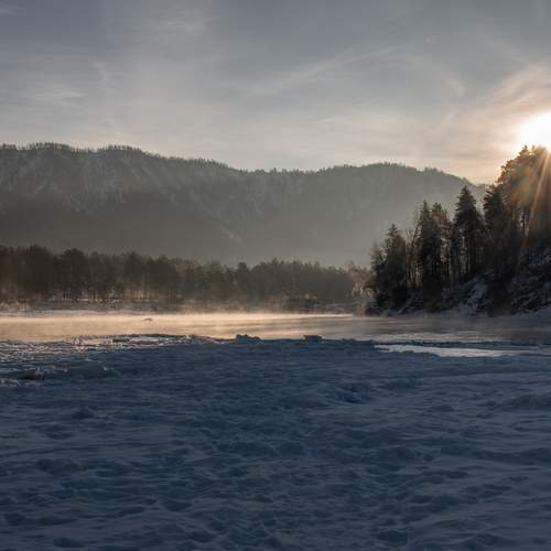 Photo #13076732