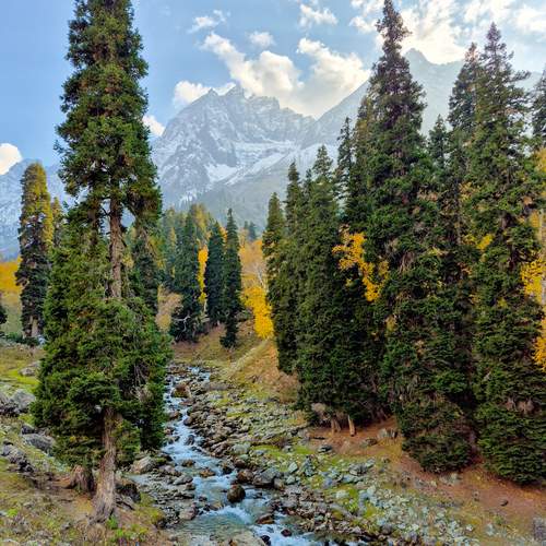 Photo #13076823