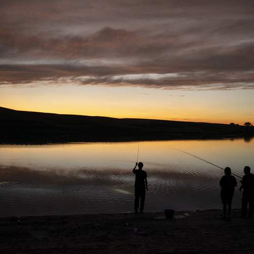 Photo #13076856
