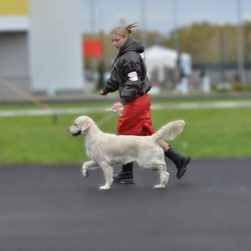 Photo #13076955