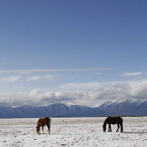 Photo #13076970