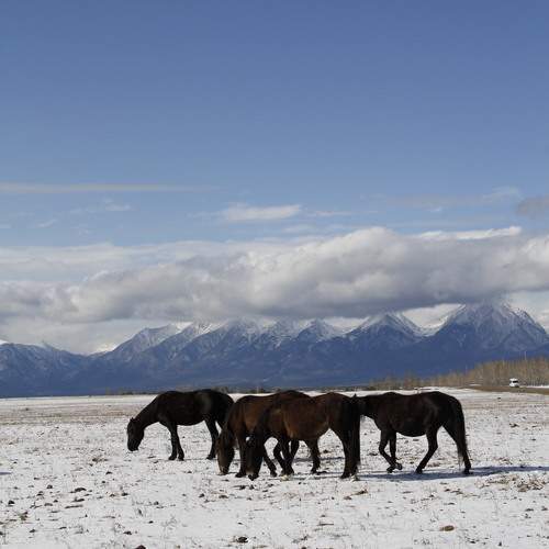 Photo #13076971