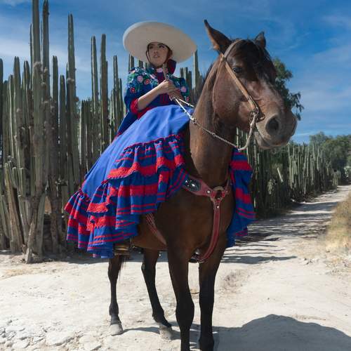 Photo #13077012