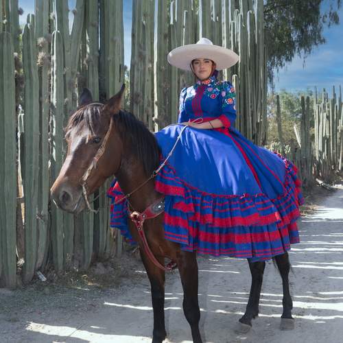 Photo #13077064