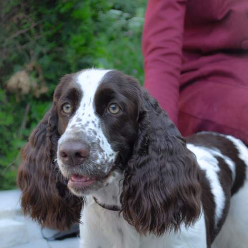 Photo #13077214