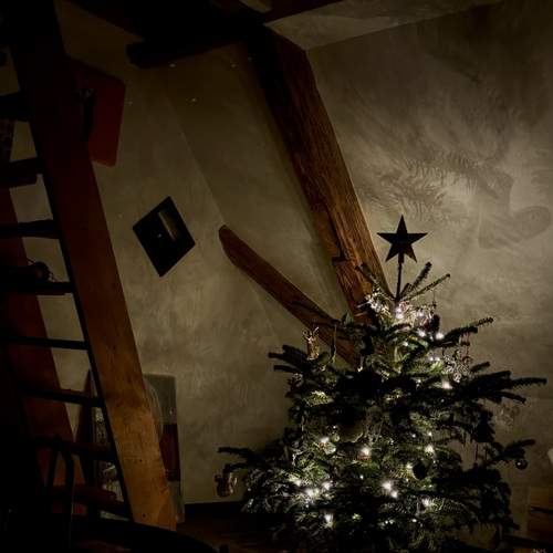 Photo #13077274