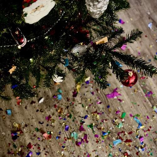 Photo #13077275