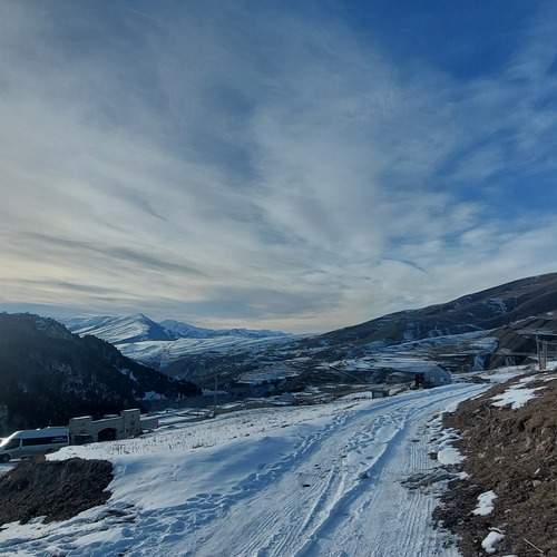 Photo #13077330