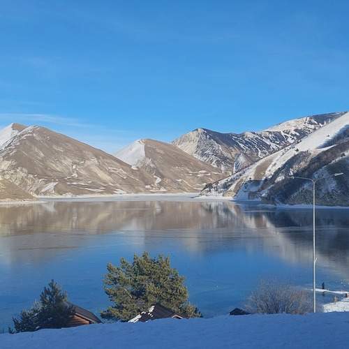 Photo #13077334