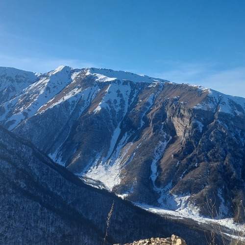 Photo #13077335