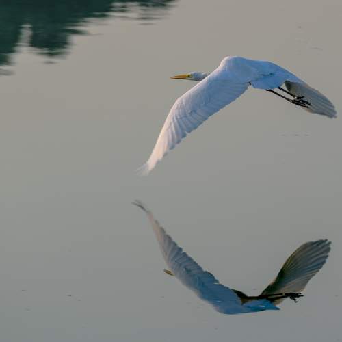 Фотография #13077457