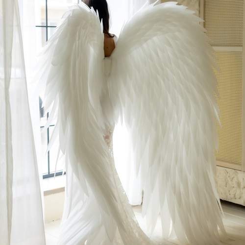 Photo #13077470