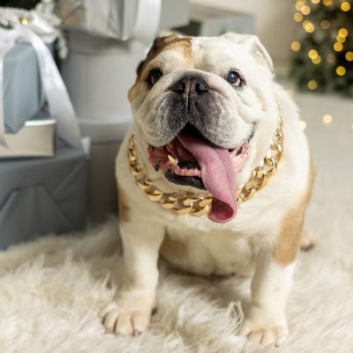 Photo #13077481
