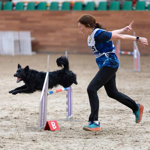 Фотография #13077729