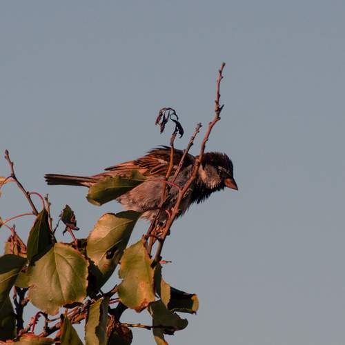 Photo #13077758