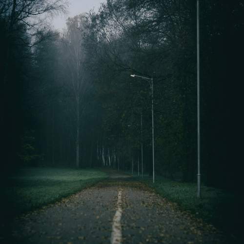 Photo #13077767