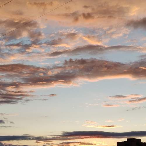 Photo #13077802