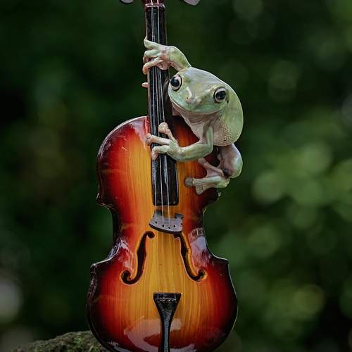 Photo #13077853