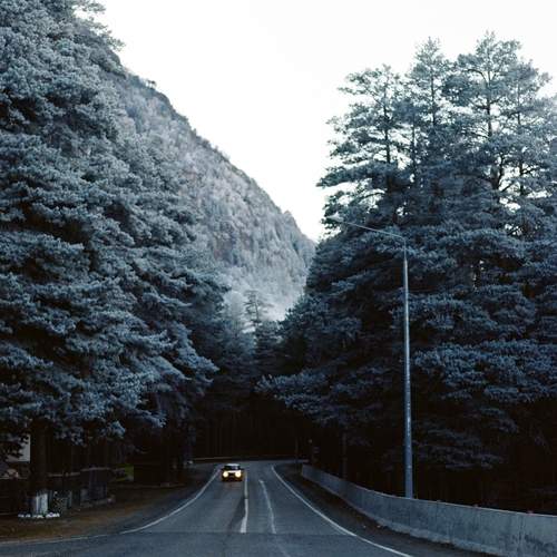 Photo #13078090