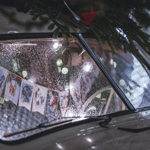 Фотография #13078200