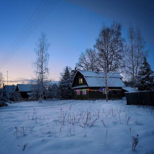 Photo #13078248