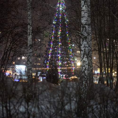 Photo #13078353