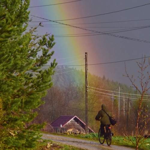 Photo #13078402